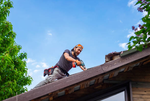 Best Roof Maintenance and Cleaning  in Avon, PA